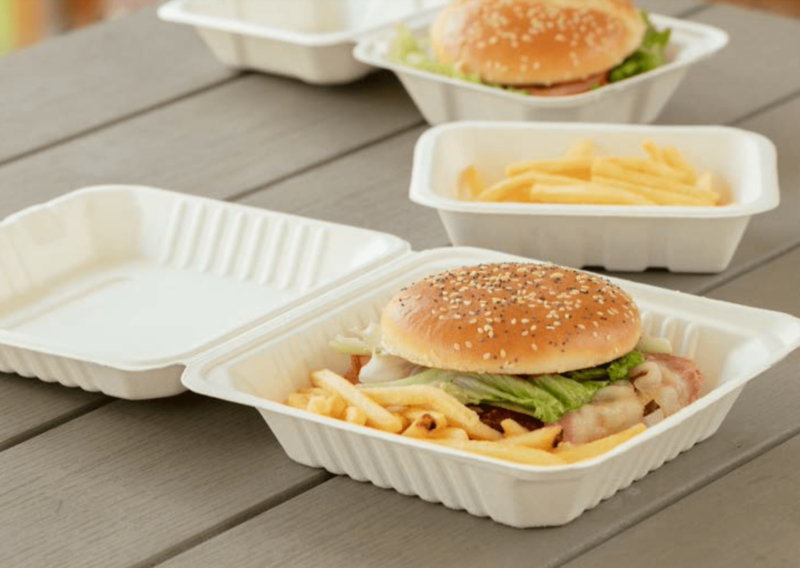 contenitore polpa di cellulosa biodegradabile take away T & T Commerciale Toscana