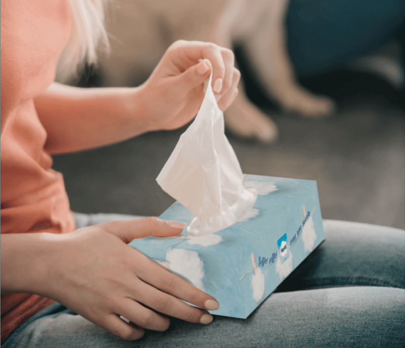 veline struccanti in scatola t&t commerciale toscana